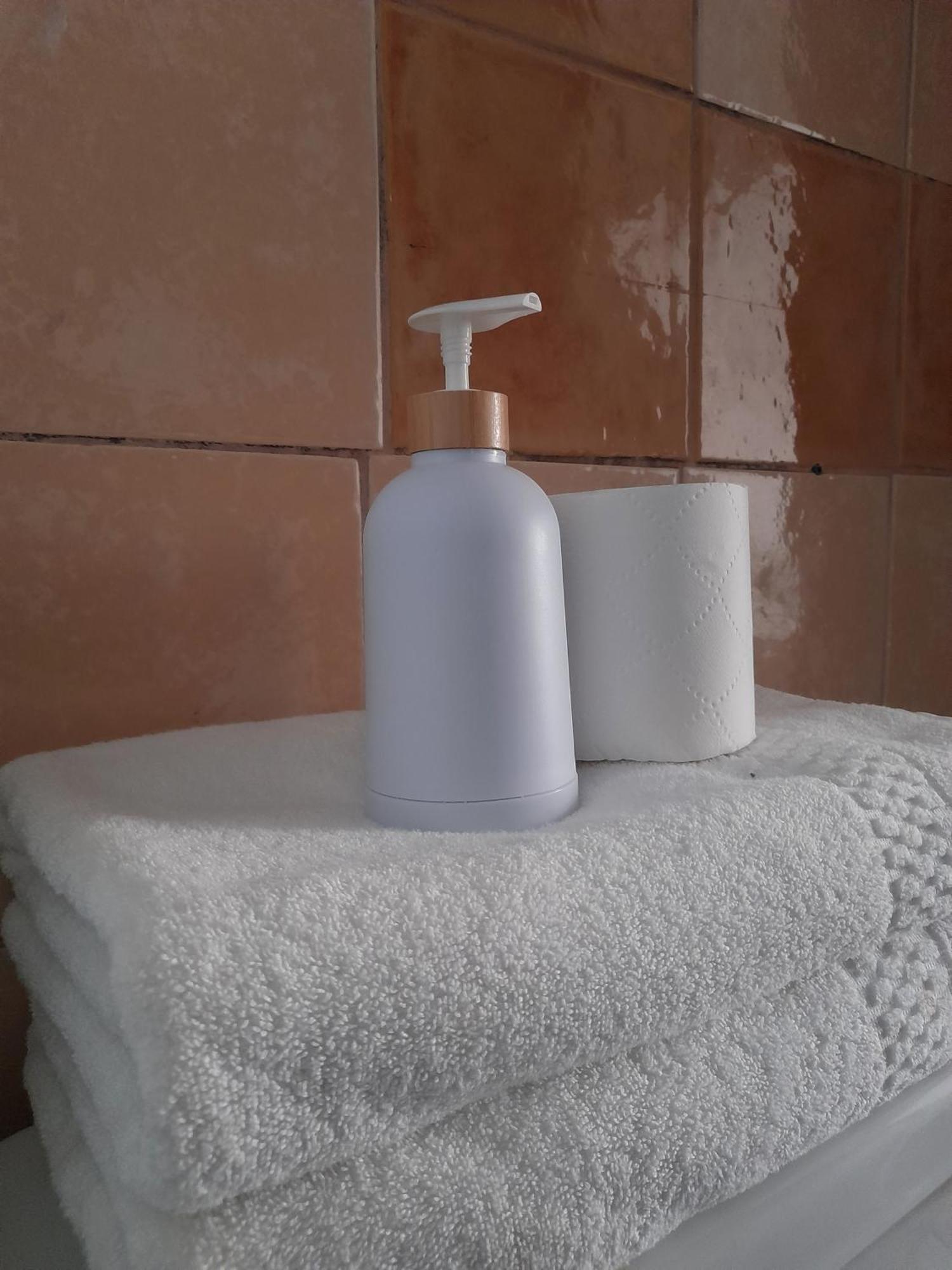 Atacama Hostel Backpackers Σαντιάγκο Εξωτερικό φωτογραφία